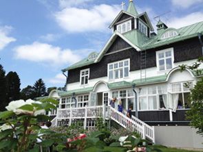 Odoo CMS - a big picture