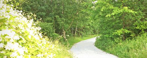 Odoo CMS - a big picture