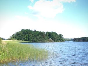 Odoo CMS - a big picture