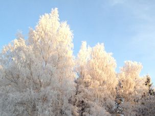 Odoo CMS - a big picture