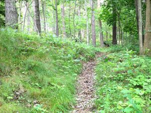 Odoo CMS - a big picture