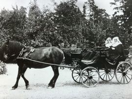 Odoo CMS - a big picture