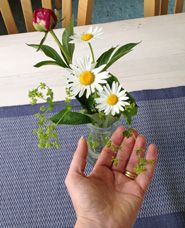 Odoo CMS - a big picture