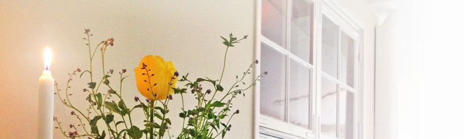 Odoo CMS - a big picture